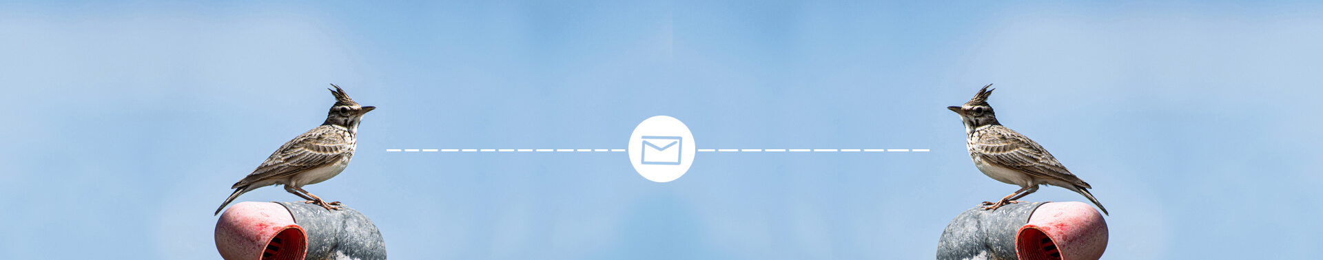 contact us header