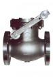 NR-040 | Check Valve with Removable Cover for Industry